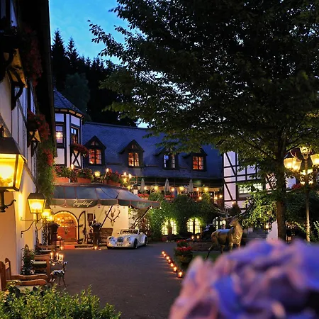 Hotel Jagdhof Glashütte-2